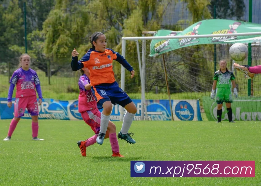 平台展示图
